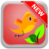 Fopy Bird Pro icon