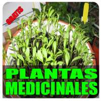 Plantas medicinales, cultivo y dietas