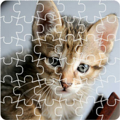 Jigsaw - Cat Kingdom icon