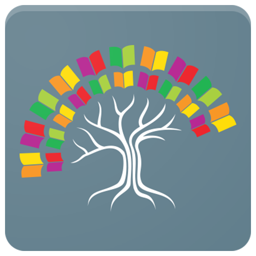 ikon Romanian Grammar Tests