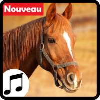 Sons de chevaux pour téléphones portables