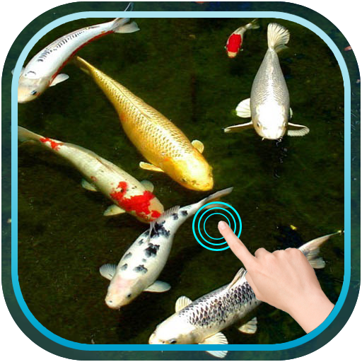 Magic Touch Koi Fish иконка