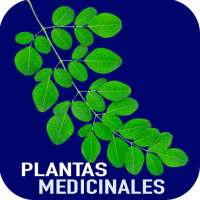 Plantas Medicinales y Sus Usos Gratis on 9Apps