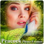 Peacock Photo Frames on 9Apps