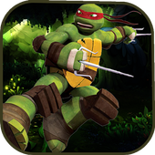 Turtle temple ninja icon