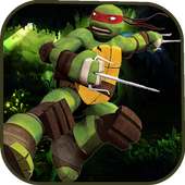 Turtle temple ninja