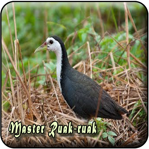 Suara Pikat Ruak Ruak MP3 icon