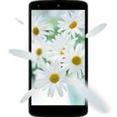 Flowers 3D Live Wallpaper