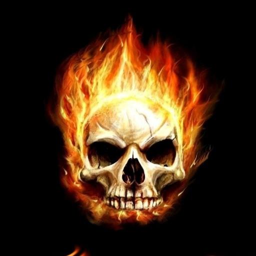 Skull Wallpapers icon