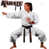 karate icon