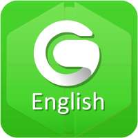 English Grammar Lite