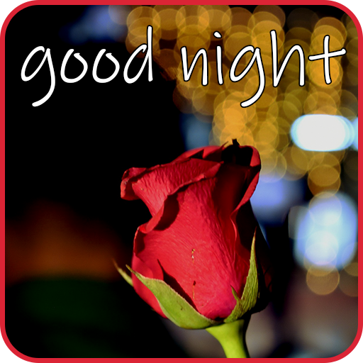 Bonne nuit images GIF 🌹 icon