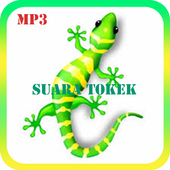 Mp3 Suara Tokek icon