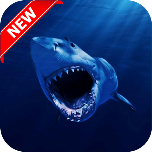 Shark Wallpapers icon