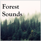 Forest Sounds icon
