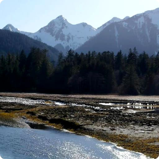 Mountain River Live Wallpaper icon