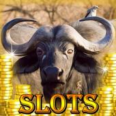 Buffalo Safari 777 Slots FREE icon