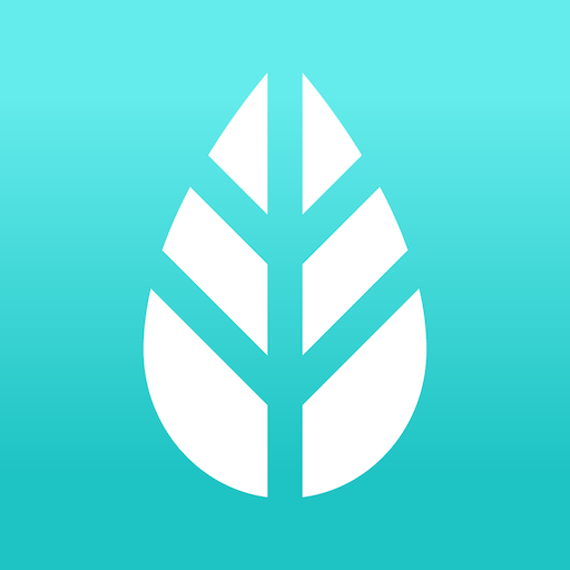 MoreApp Formulieren icon