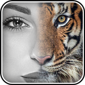 Animal Insta Face Changer icon