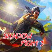 Guide For Shadow Fight 3