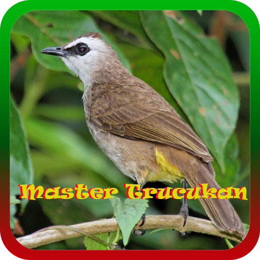 ikon Trucukan Master