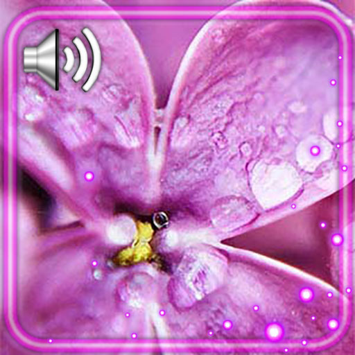 Lilac Flower Magic Live Wallpaper icon