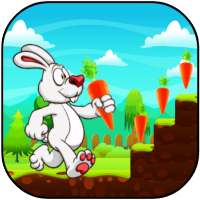 Bunny Run