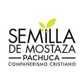 Semilla Pachuca