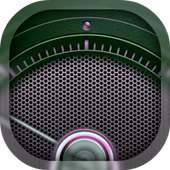 Guitar Tuner on 9Apps