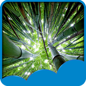 Jungle Live Wallpapers icon