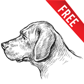 HOW TO DRAW A DOG icon