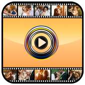 Best Video Maker on 9Apps