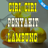 Ciri-Ciri Penyakit Lambung icon
