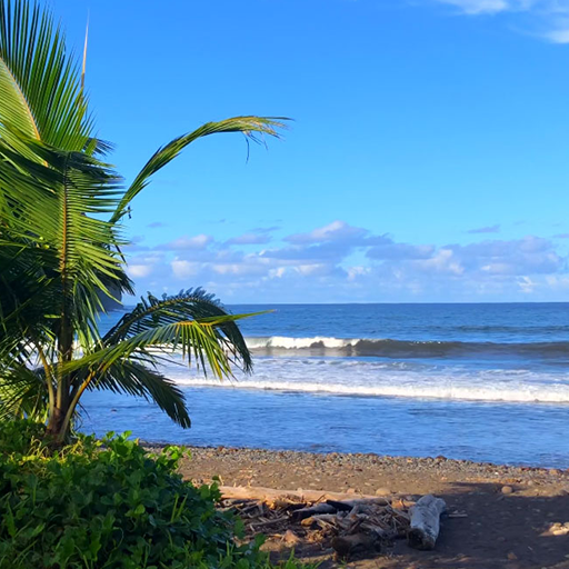 tropical beach live wallpaper icon