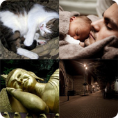 Four Photos One Word icon