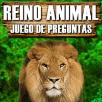 Reino animal - juego de preguntas