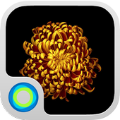 Gold Flower icon