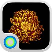 Gold Flower on 9Apps