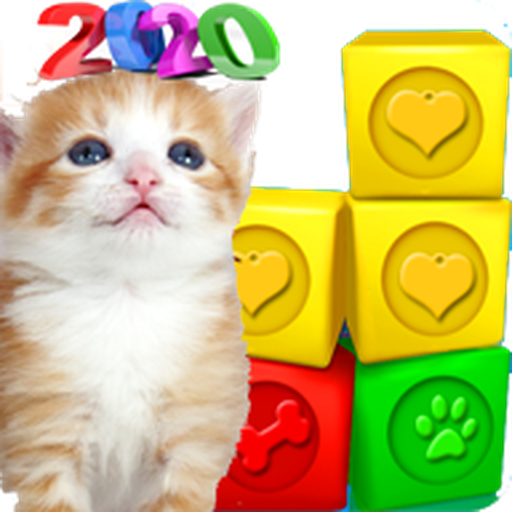 cats rescue 2020 icon