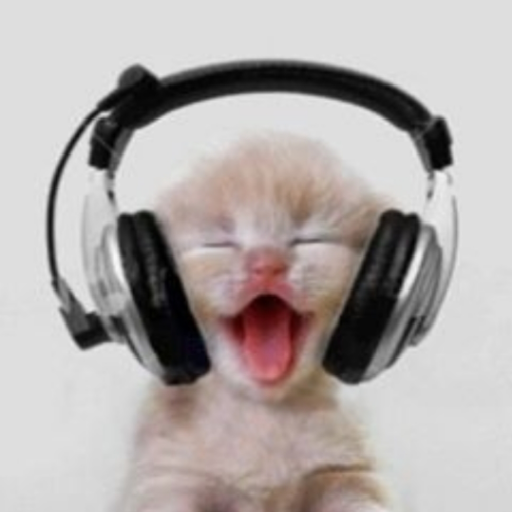 Music cat icon