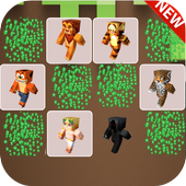 "Skins Craft" - Memory game icon