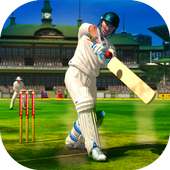 Cricket 2019