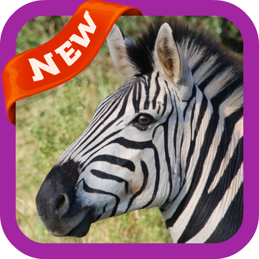 Zebra Wallpaper icon
