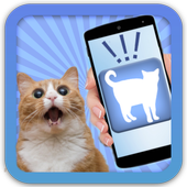 Cat Human Translator Simulator icon