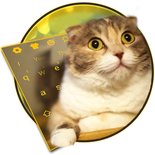 3D Live chubby Cute Kitty Keyboard icon