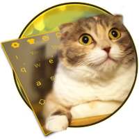 3D Live chubby Cute Kitty Keyboard