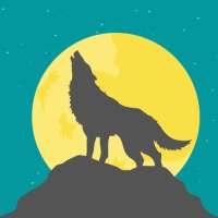 Alpha VPN - Highly Secure VPN & Proxy 2020