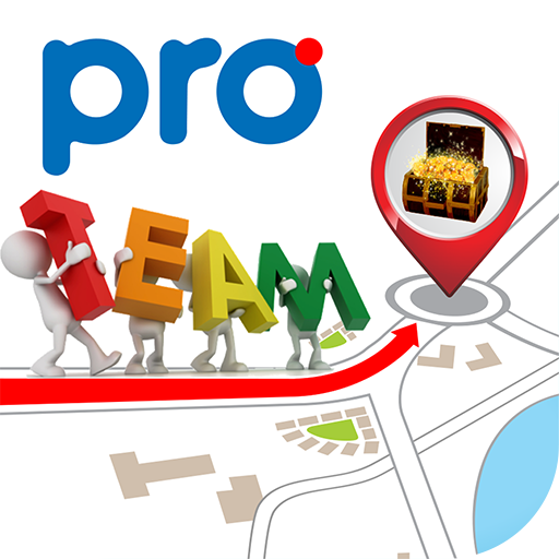 Pro Team 4.0 icon