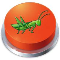 Cricket Sound Effect