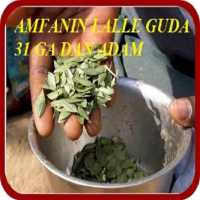 AMFANIN LALLE GUDA 31 GA MUTUM on 9Apps